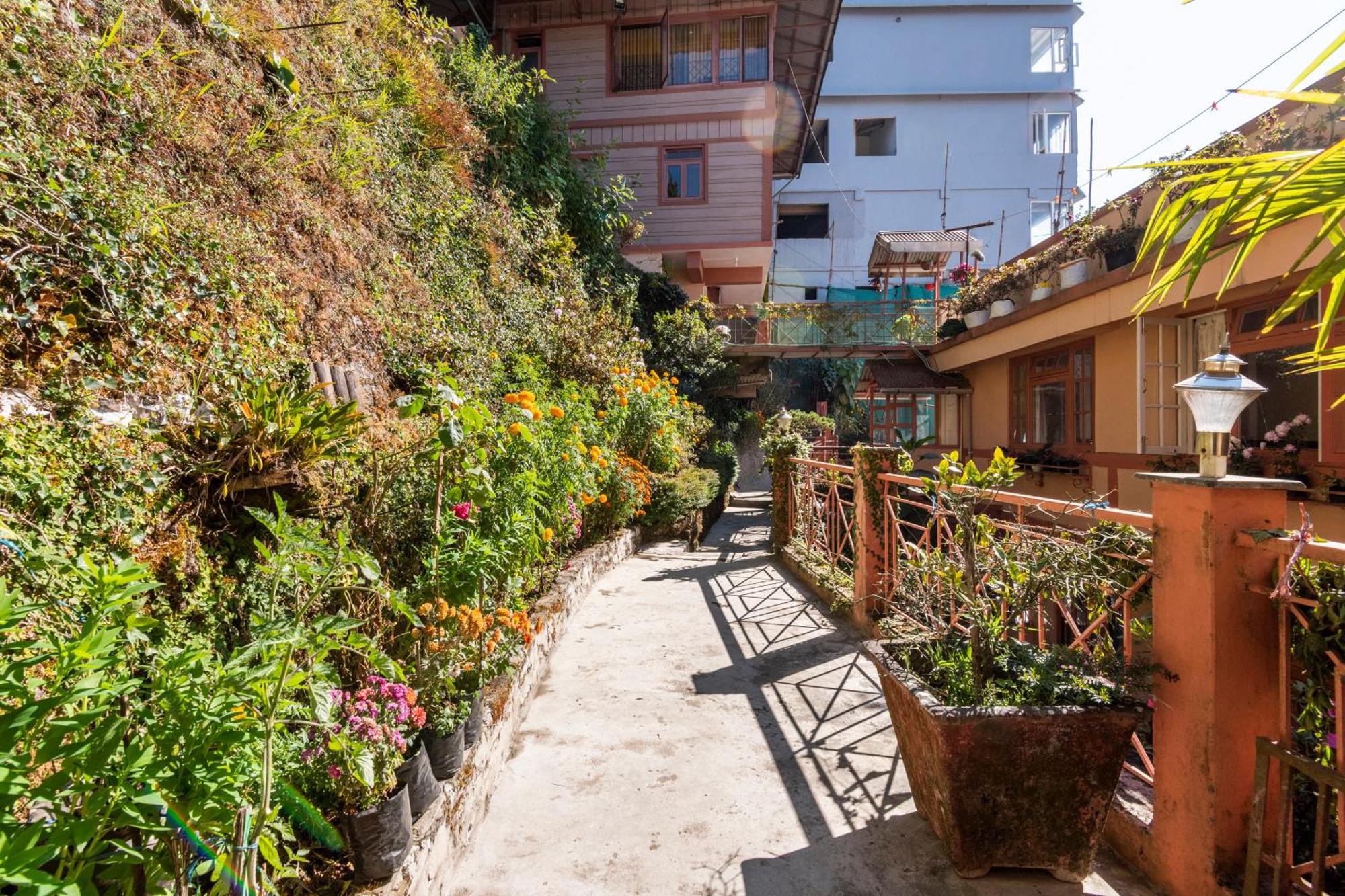 Little Singamari Home Stay Darjeeling  Exteriör bild