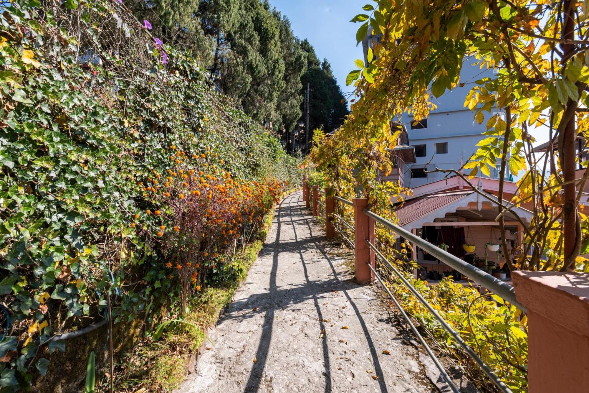 Little Singamari Home Stay Darjeeling  Exteriör bild