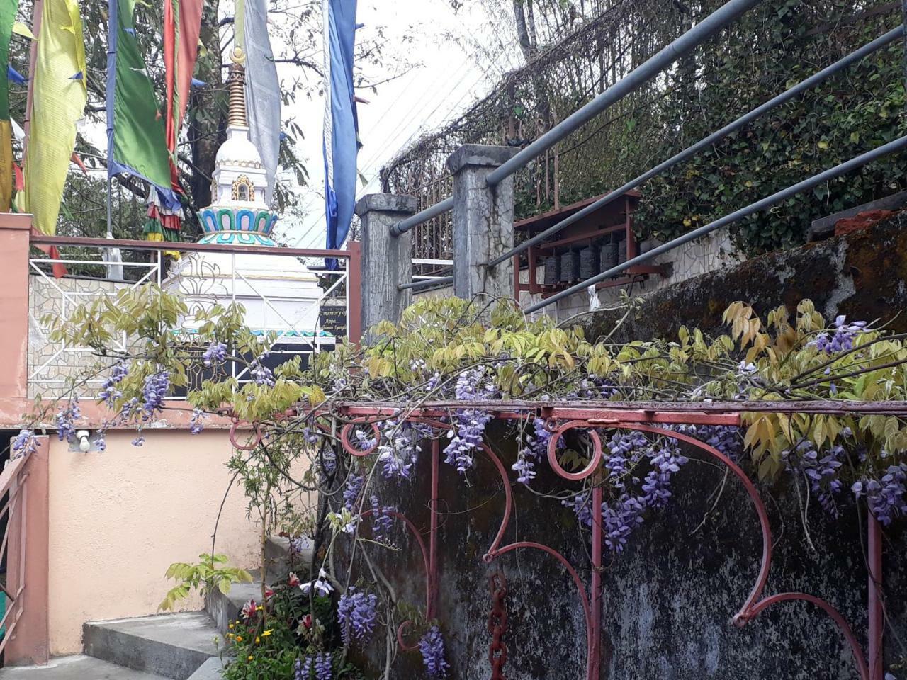 Little Singamari Home Stay Darjeeling  Exteriör bild