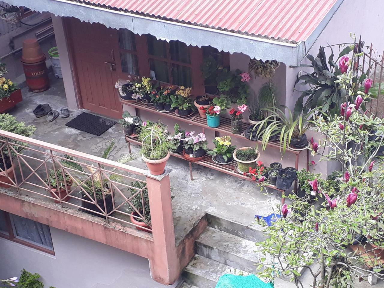 Little Singamari Home Stay Darjeeling  Exteriör bild