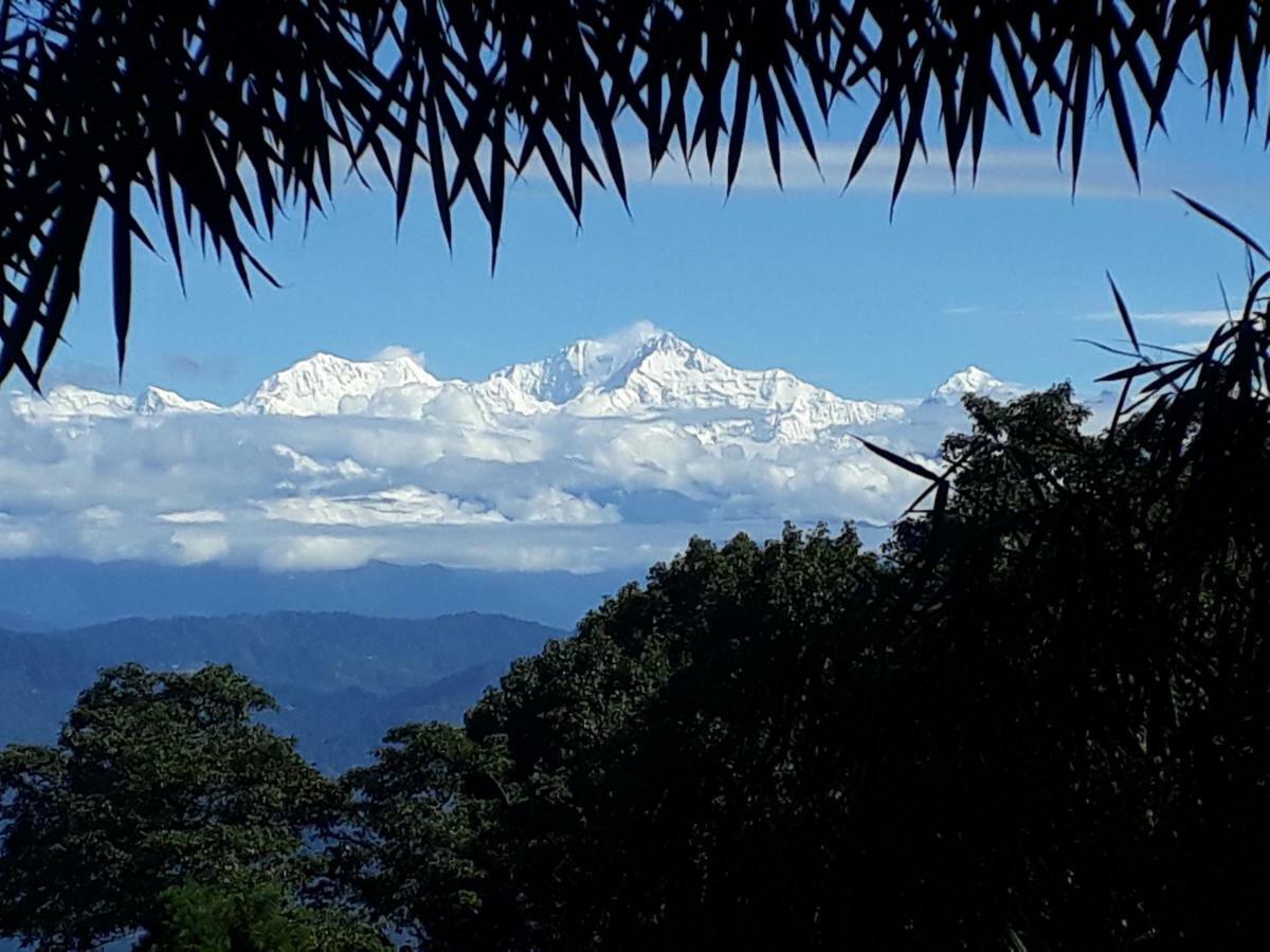 Little Singamari Home Stay Darjeeling  Exteriör bild