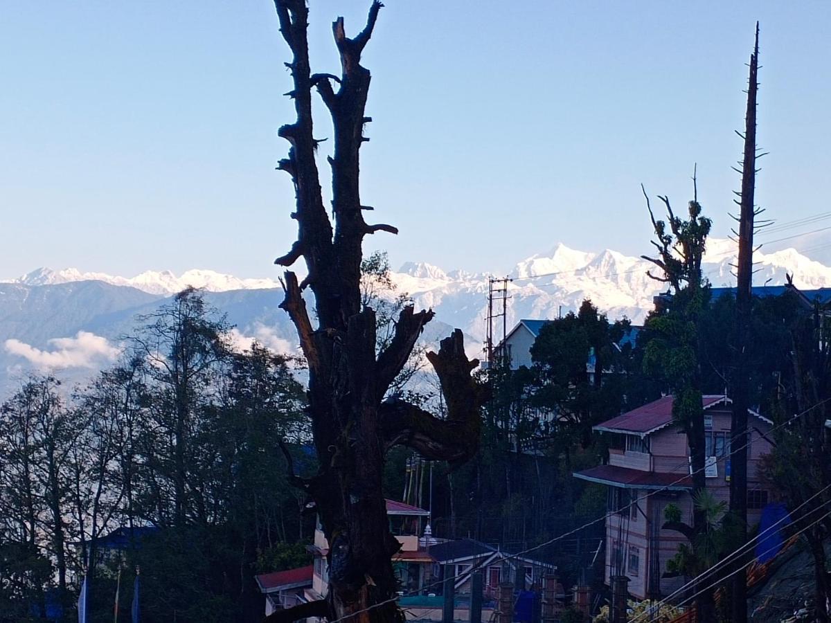 Little Singamari Home Stay Darjeeling  Exteriör bild